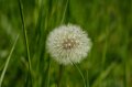 20070426_IMG_000507