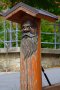 20060809_IMG_001050