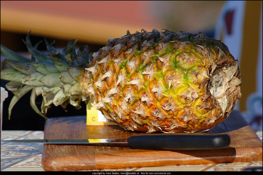 20070428_IMG_000596.JPG - Ananas kurz vor dem Verzehr