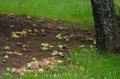 20060807_IMG_0636