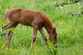 20080522_IMG_0304