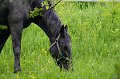 20080522_IMG_0310