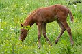 20080522_IMG_0315